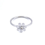 Daisy  Ring Purity Kit